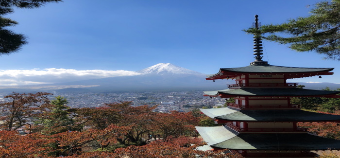 Ikigai: Die japanische Art, Deine Berufung zu finden